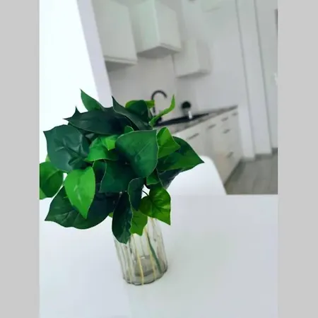 شقة Promenada Gwiazd- Widok Na Morze. مينززدرويه